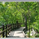 청옥산민박 이미지