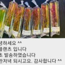 영플랜츠&갤러리영