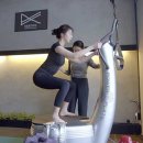 파워다이어트요가 이미지