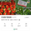용내길 네이버블로그