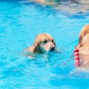 아임버디 이미지