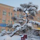 목화유치원 이미지