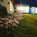 프라비타 민박 이미지