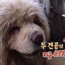 환웅농장 네이버블로그