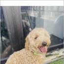 아이조아요양보호소 전남광주점 이미지