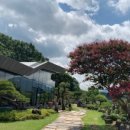 커피와소나무 이미지