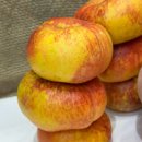 단짝스토어 이미지