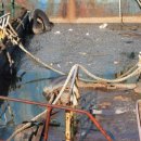 ㈜신대양 이미지