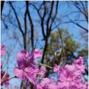 영어회화(심화) 이미지