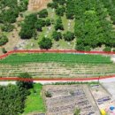 덕일 농장 이미지