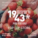 마포-서교-마포-3486 | 서울 실내 2024년 3월 성수 팝업스토어 가볼만한곳 추천 BEST 10