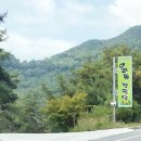 아리솔캠핑장 이미지