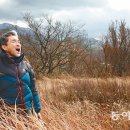 뒷동산 티스토리