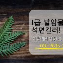 장수자동차공업사 네이버블로그