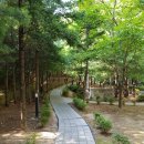 물푸레마을7단지 이미지