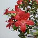 홍의인농장 이미지