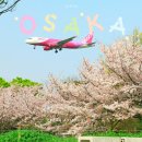 아주-0044 | 일본 오사카 여행 코스 추천 피치항공 김포공항 항공권 후기