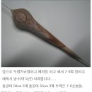 솔피 티스토리