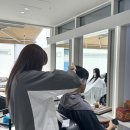 백세동물약국 | 구래동 미용실 인생 머리 찾았어요!