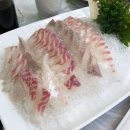 진하수산 | 광주농성동맛집 스끼잘나오는 횟집 <진하수산> 솔직후기