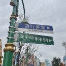 꾸며줄개 | [상해] 상하이 1일차 : 개쫄보의 디즈니랜드 어트렉션 후기