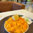 마이커피 - 수원시 권선구 입북로77번길 61 | 대구 동성로 망고빙수 맛있는 집 마이커피컬로맨스 내돈내산 후기