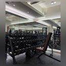 인서울핏 헬스&PT | 경리단길 이태원 헬스장 프리미엄 이태원PT 인서울핏에서 시작한 다이어트