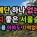 서울숲길 Daum카페