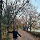 씨유철산도덕파크점 | 도덕파크 2단지 실거주 후기｜주차 스트레스 없는 아파트 솔직 리뷰