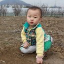 솔빛농장 이미지