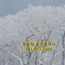 청솔탑공인중개사사무소 이미지