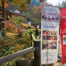 금지순환길 이미지