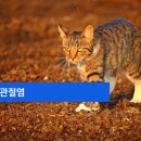 모래내동물병원 이미지