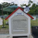 미소야치과의원 | 대전반려동물공원| 무료이용후기(상세사진50장첨부)