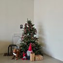 SK서하남IC주유소 | 경남 마산 크리스마스 딸기케이크 추천｜자갈커피 생신 케이크 후기사전예약 방법까지