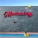 대교공원 체험관광센터 | 총정리 2 #청초호호수공원(주차+볼거리) #청초수물회 #청호활어회센터 feat. 근처 숙소 &lt;마리나베이...