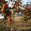 운천농장 이미지