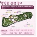 일광보조기 이미지