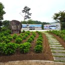 (주)고향이야기 | 부산 수국 명소 녹산고향동산 개화상황, 지금 다녀온 후기