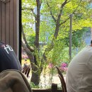 리틀테라스 | 공덕 경의선숲길 맛집｜리틀방콕 후기