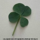 4월 회고록