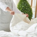 에이스무인텔 이미지