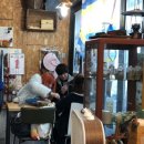 캔들바다 이미지