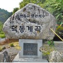 2024년 7월 21일(일) 제189차 제천 삼봉산(910m)- 초복 피서 산행 예약방 이미지