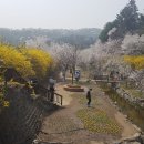 수양유리