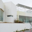 고성-회화-02-비-05 | 강원도 고성 카페 추천 애견동반 가능한 온더버튼 문암해변 데이트