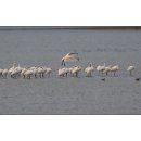 새들의천국 이미지