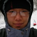 냉동 엄나무순 한세트 판매해요~ 이미지