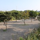 힐스톤 캠핑장 이미지