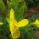 토바맑은식품 이미지